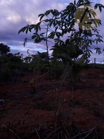 Terreno à venda, 870 m² por r$ 150.000 - quilombo - cantagalo/rj - Foto 15