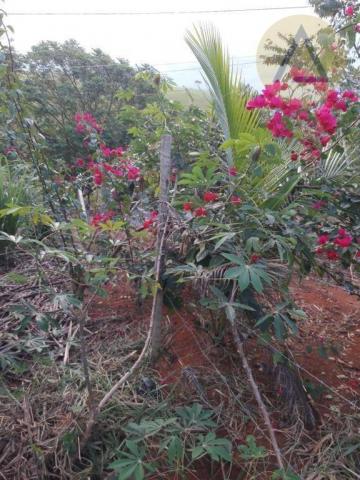 Terreno à venda, 870 m² por r$ 150.000 - quilombo - cantagalo/rj - Foto 2