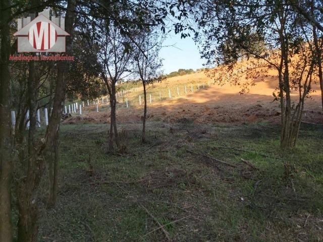 Lindo terreno com escritura, poço semi-artesiano e energia elétrica em Pedra Bela - Foto 12