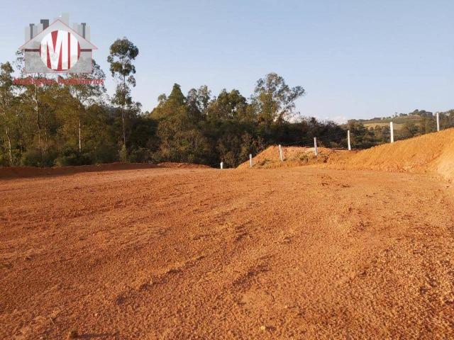Lindo terreno com escritura, poço semi-artesiano e energia elétrica em Pedra Bela - Foto 3