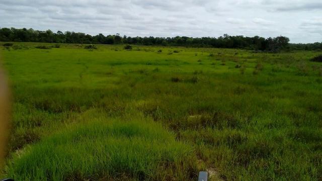 Fazenda de pecuária - Foto 8