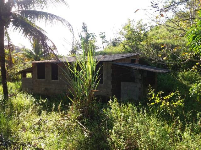 Sítio 6ha em Tamandaré - Foto 6