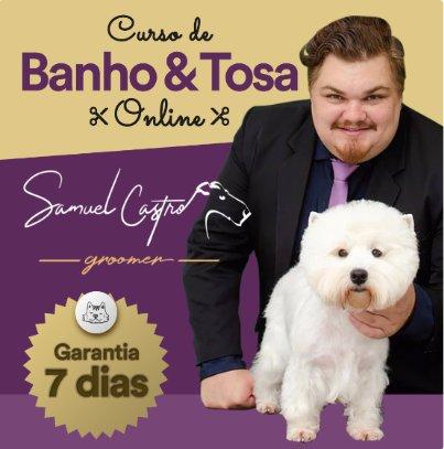 Curso de Banho e Tosa Online