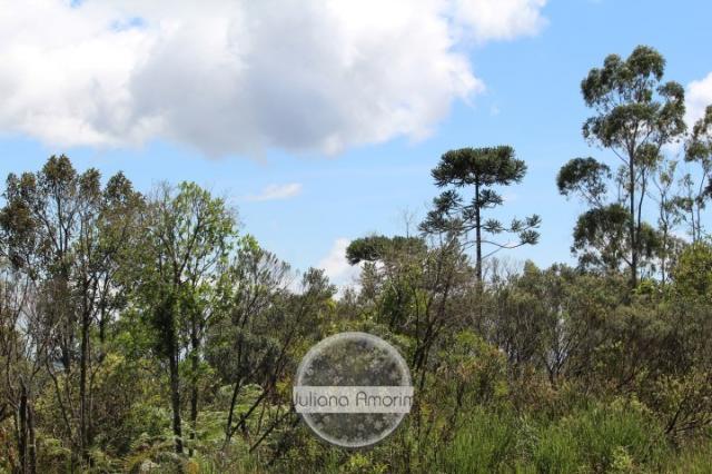 Seu sitio em Bom Retiro na Serra Catarinense - Foto 19