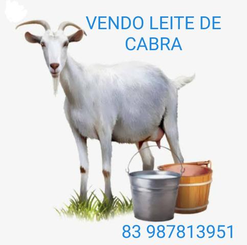 Leite de cabra