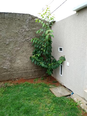 Casa linda na quadra 102,quem vê compra! - Foto 15