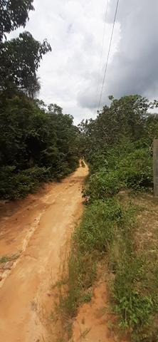 Terreno com pequeno igarapé km 25 - Foto 3