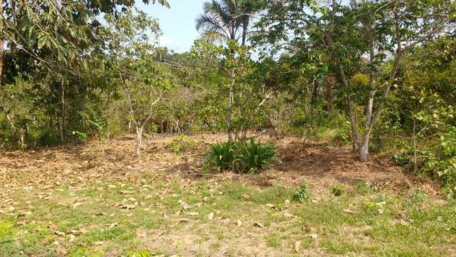 Troca-se dois terrenos no iranduba!!!!! - Foto 3