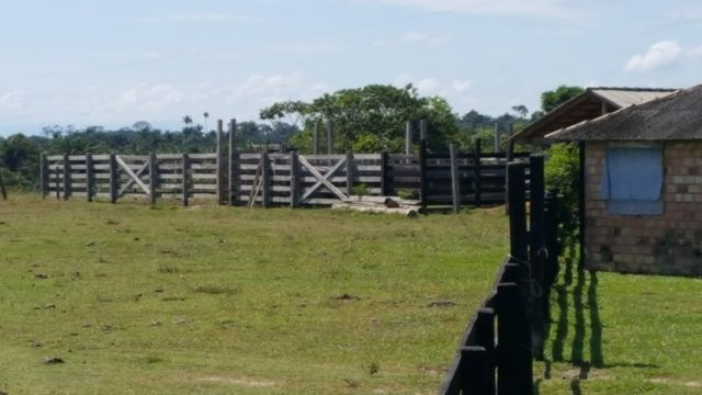 Fazenda de 1500 hectares em Alto Alegre/RR, ler descrição do anuncio - Foto 2