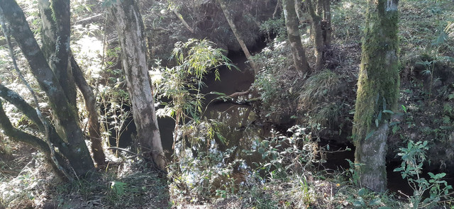 Sitio anexo ao aeroporto com 76.000 metros. Plantio ..soja ..água em abundância. - Foto 9