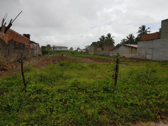 # Terreno na Melício Machado( Mosqueiro) - Foto 3