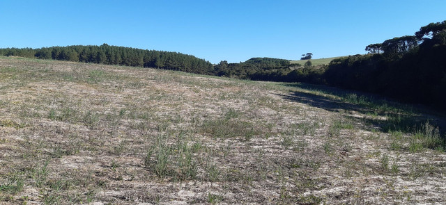 Sitio anexo ao aeroporto com 76.000 metros. Plantio ..soja ..água em abundância. - Foto 10