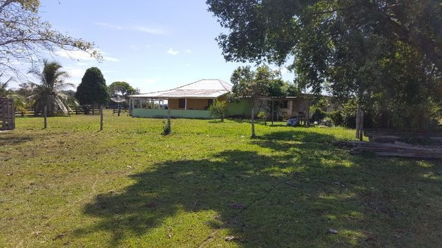Fazenda de 1500 hectares em Alto Alegre/RR, ler descrição do anuncio - Foto 14