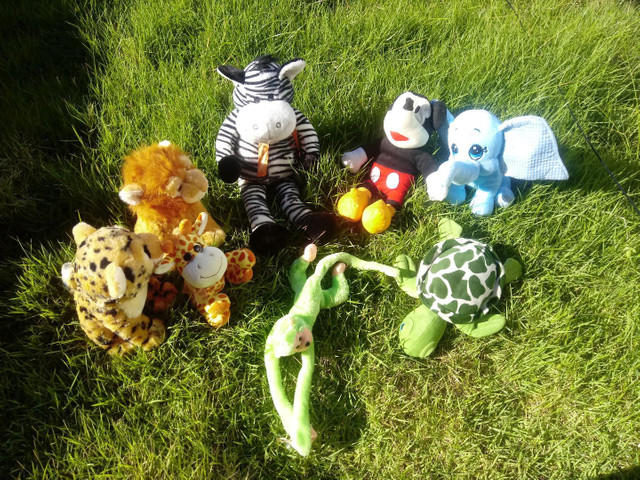 Urso pelúcia