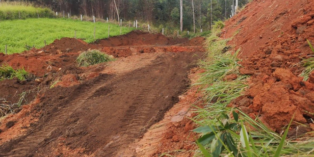 54V terreno para quem gosta de plantar - Foto 6