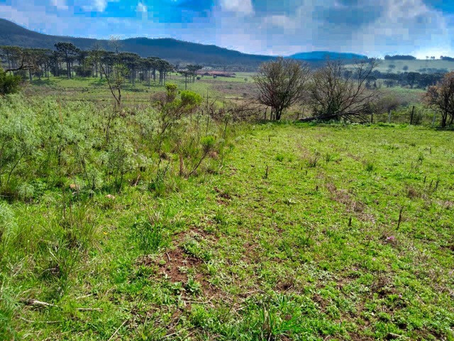 Sítio Terreno - Foto 2