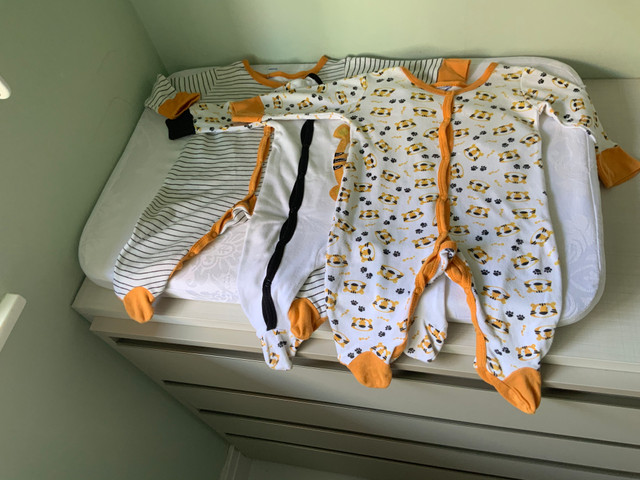 Pijaminhas de tigre
