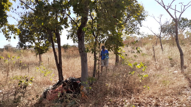 Terrenos - Foto 7