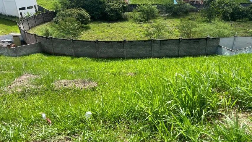 Lote Alpha LN2 com 460m