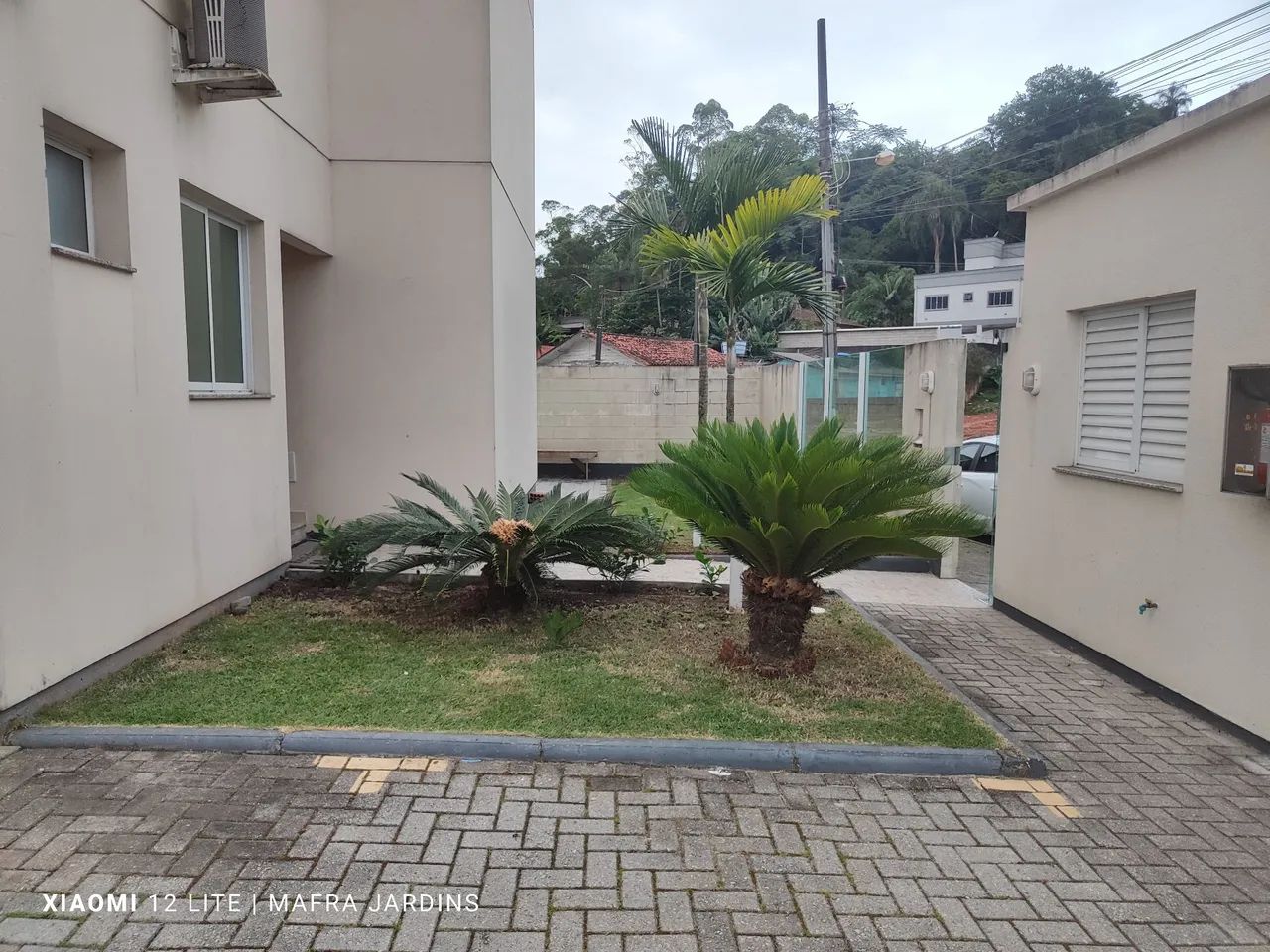 Jardinagem e paisagismo faça seu orçamento sem compromisso  - Foto 5