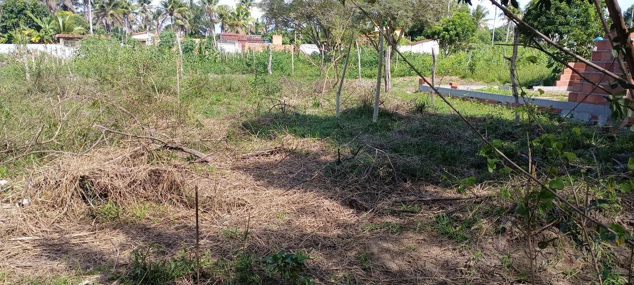 Terreno em ótima localização - Foto 2