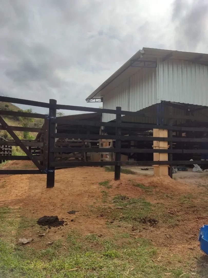 Paraíba do Sul - 11.5 alqueires. Oportunidade única! - Foto 5