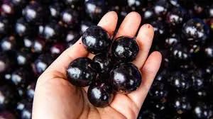 Jabuticaba 30 o kg 