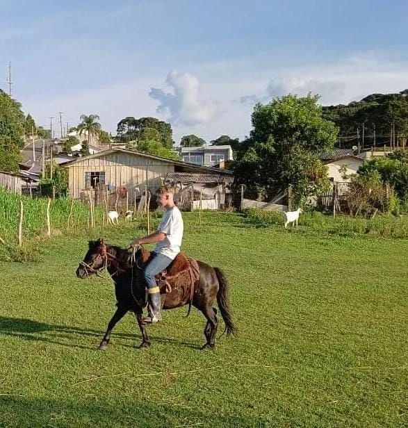 Pônei muito manso e vai até no serviso no laço tbm