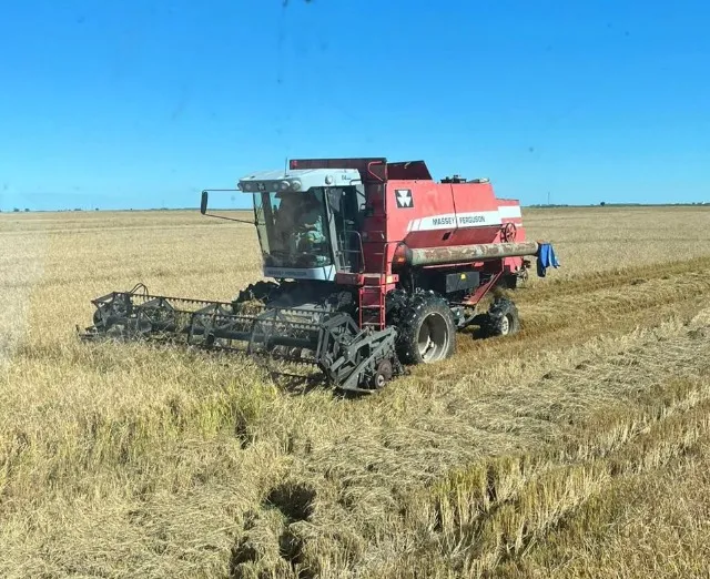 Massey Ferguson 34
