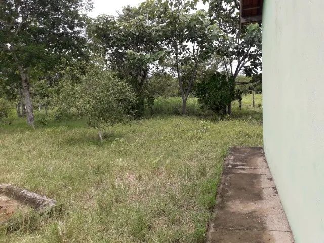 Vendo uma fazenda no municipio de conceiçao do tocantins - Foto 3