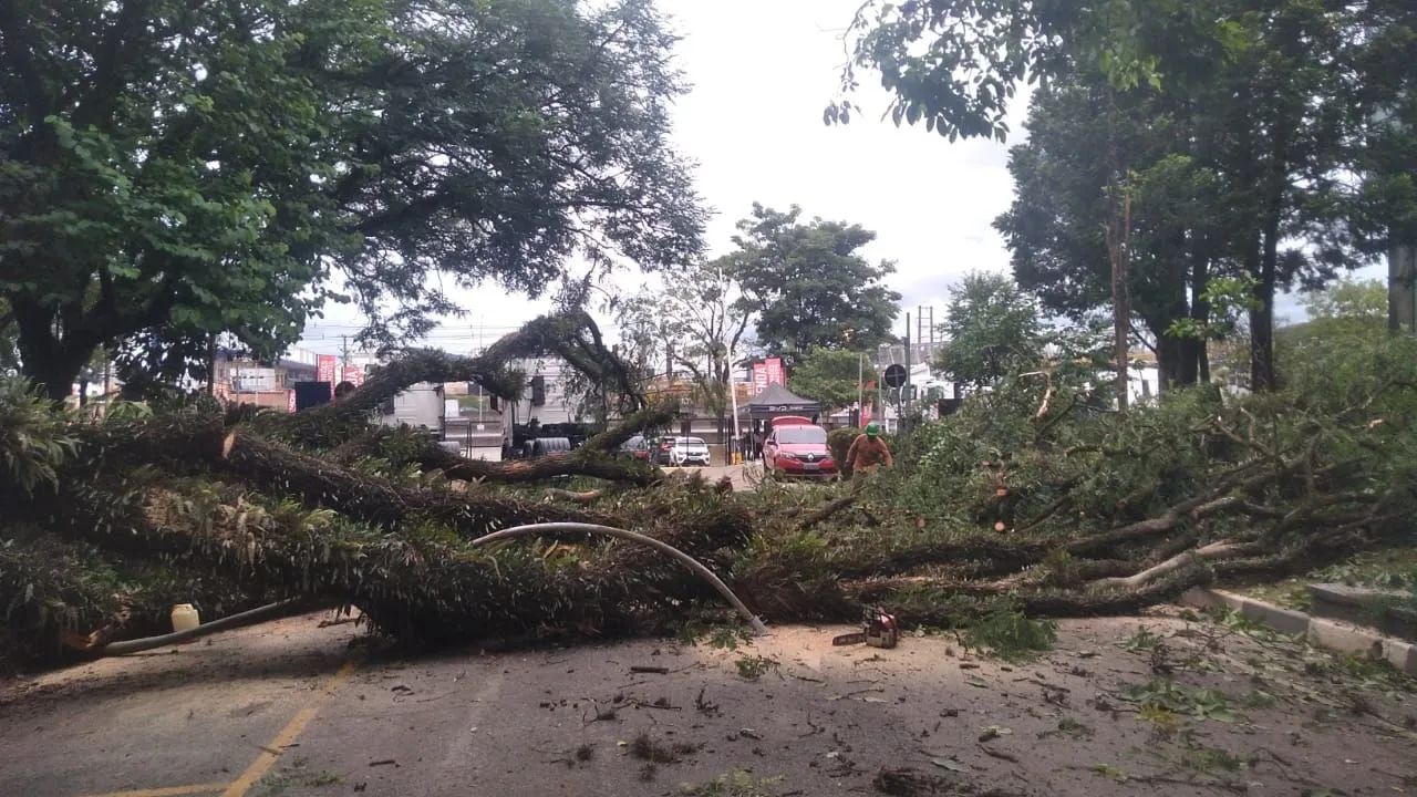 Cata bagulho entulho retiramos tudo - Foto 2