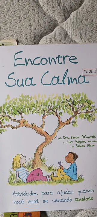 Livro Encontre sua Calma