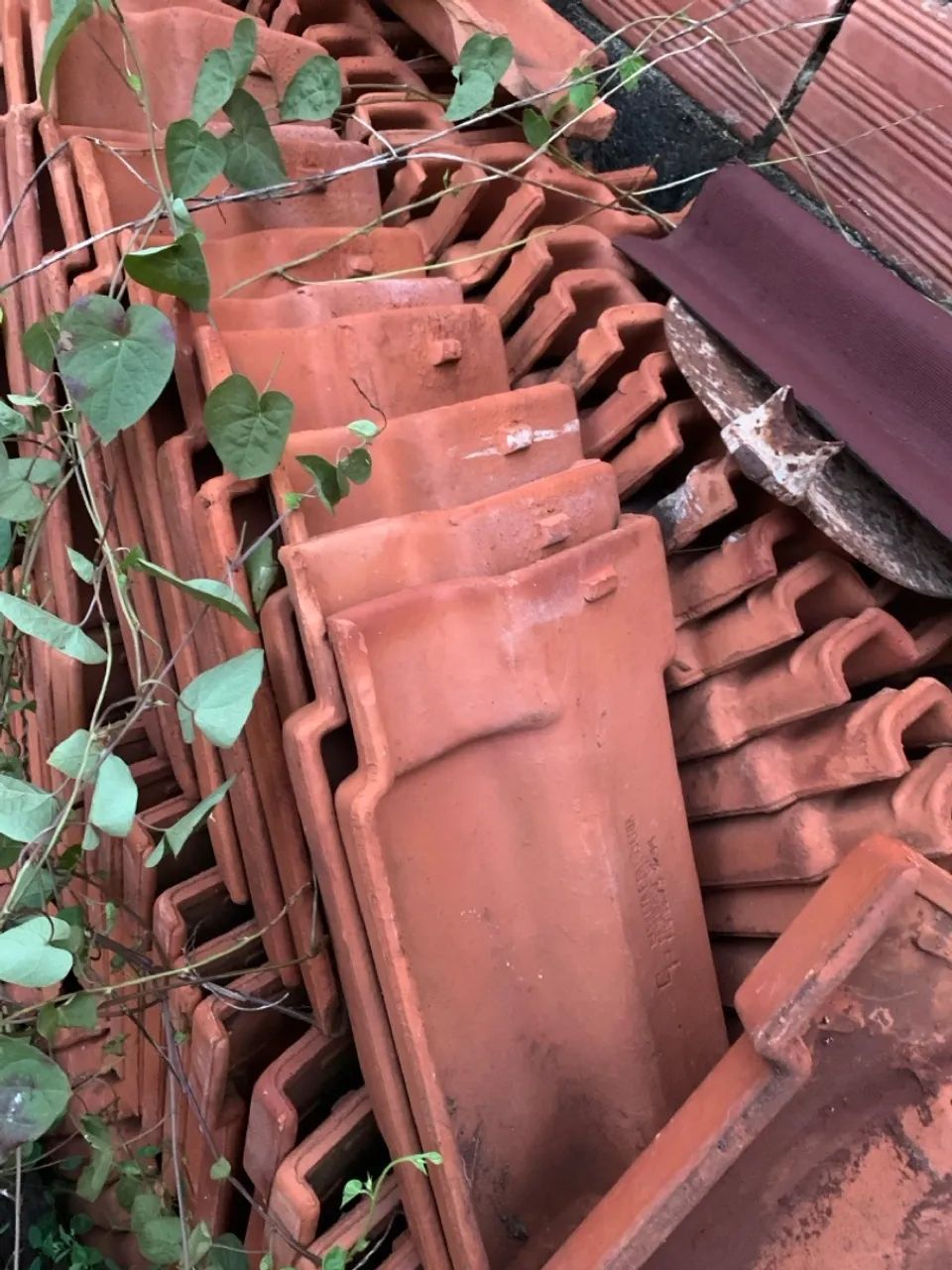 Telha romana 64198295744898121