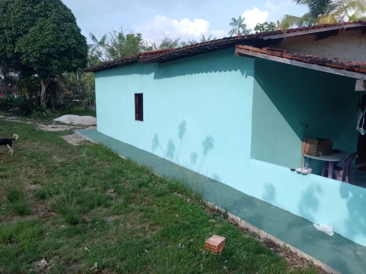 Sitio Pesque e Pague Localizado No KM 75- Aurora- Pa - Foto 5