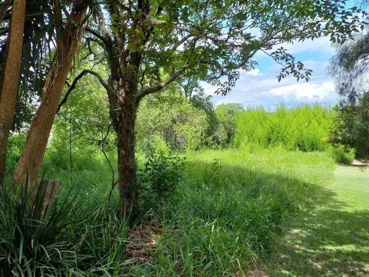 Terreno à venda com 1.119 m² no Jardim São Bento do Recreio, Valinhos - Foto 6