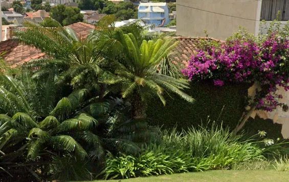 VAGA PARA JARDINEIRO