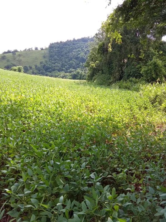 Terreno barato em quedas do Iguaçu PR aproveitem