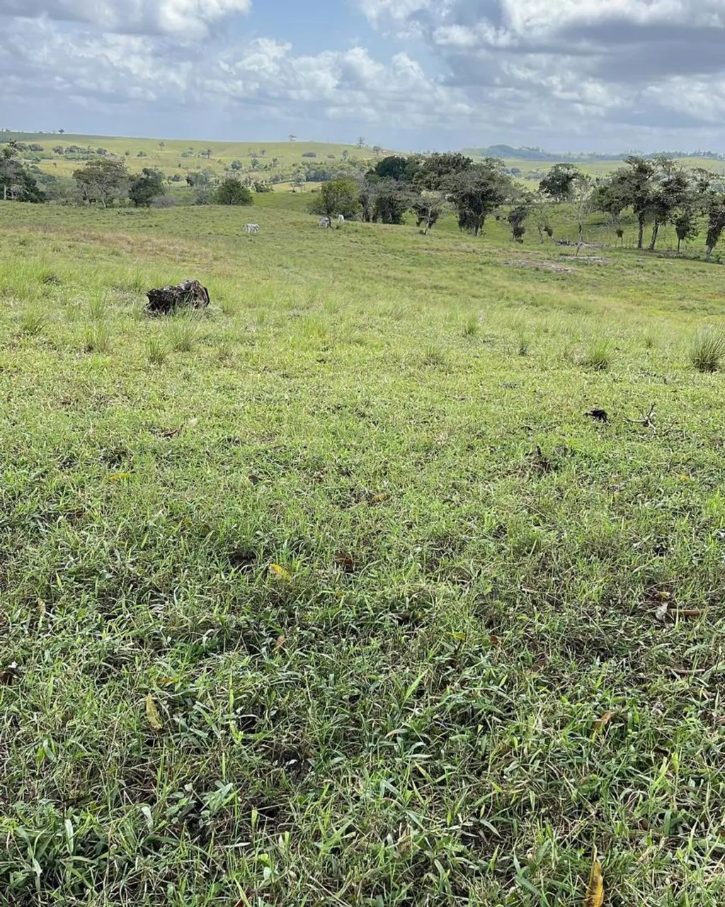 Fazenda