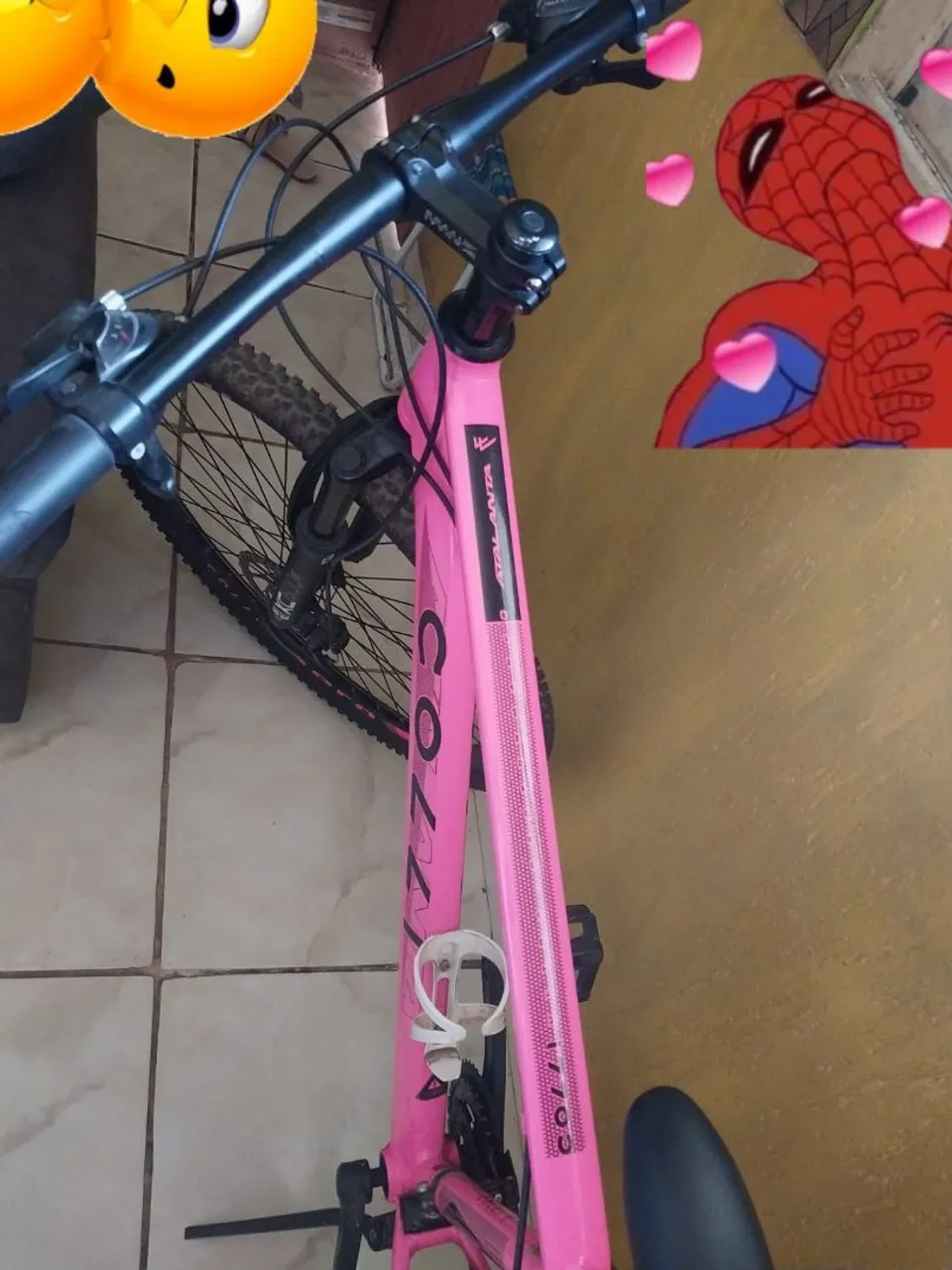 Bicicleta Colli Atalanta Aro 26