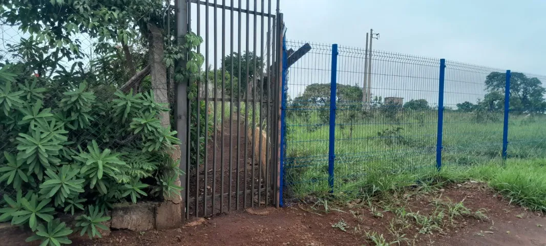 Alugo Edícula na vila pioneira