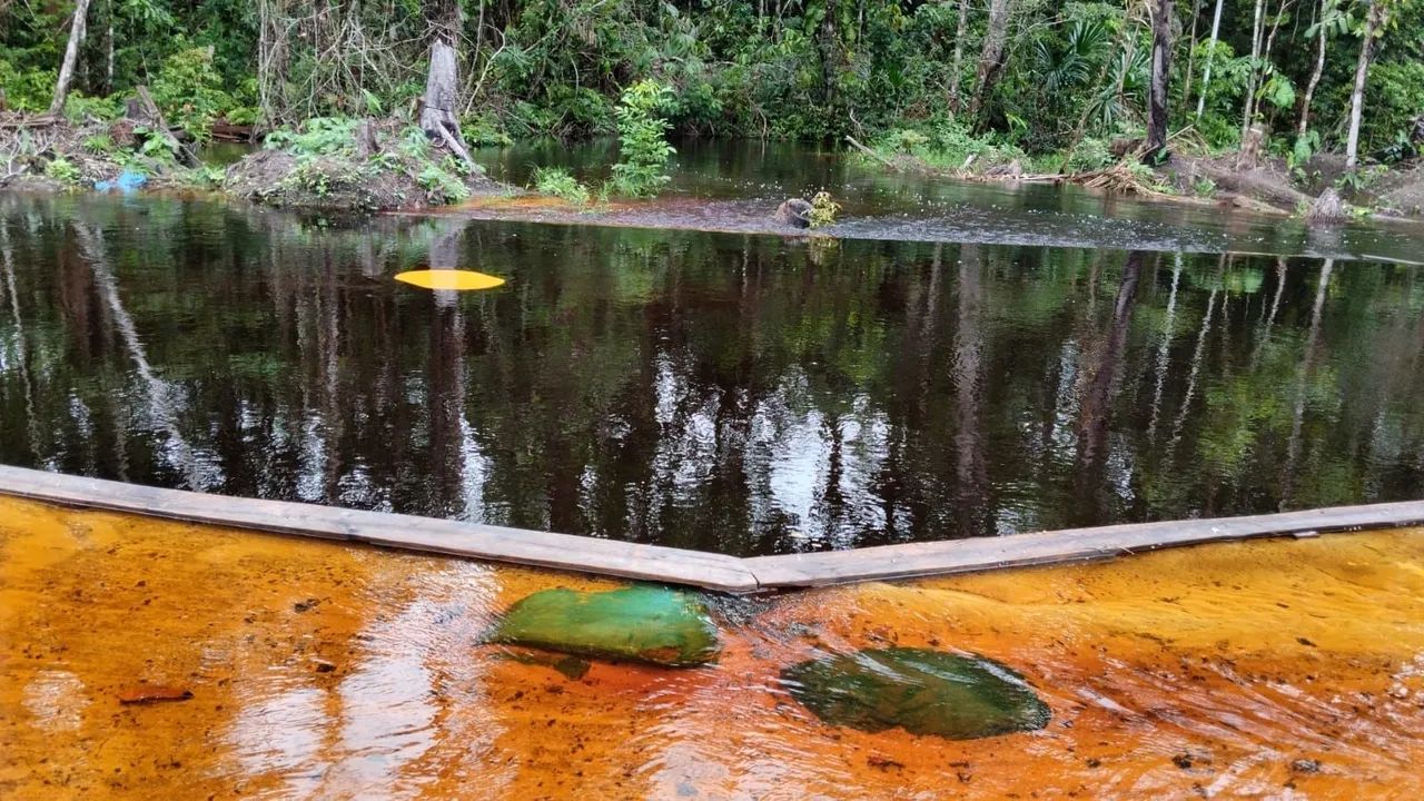 Sitio Estrada Novo Airão km 44