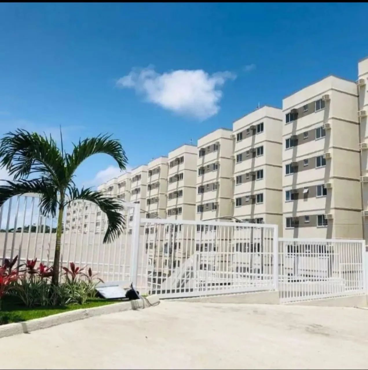 Foto - Recife - Várzea
