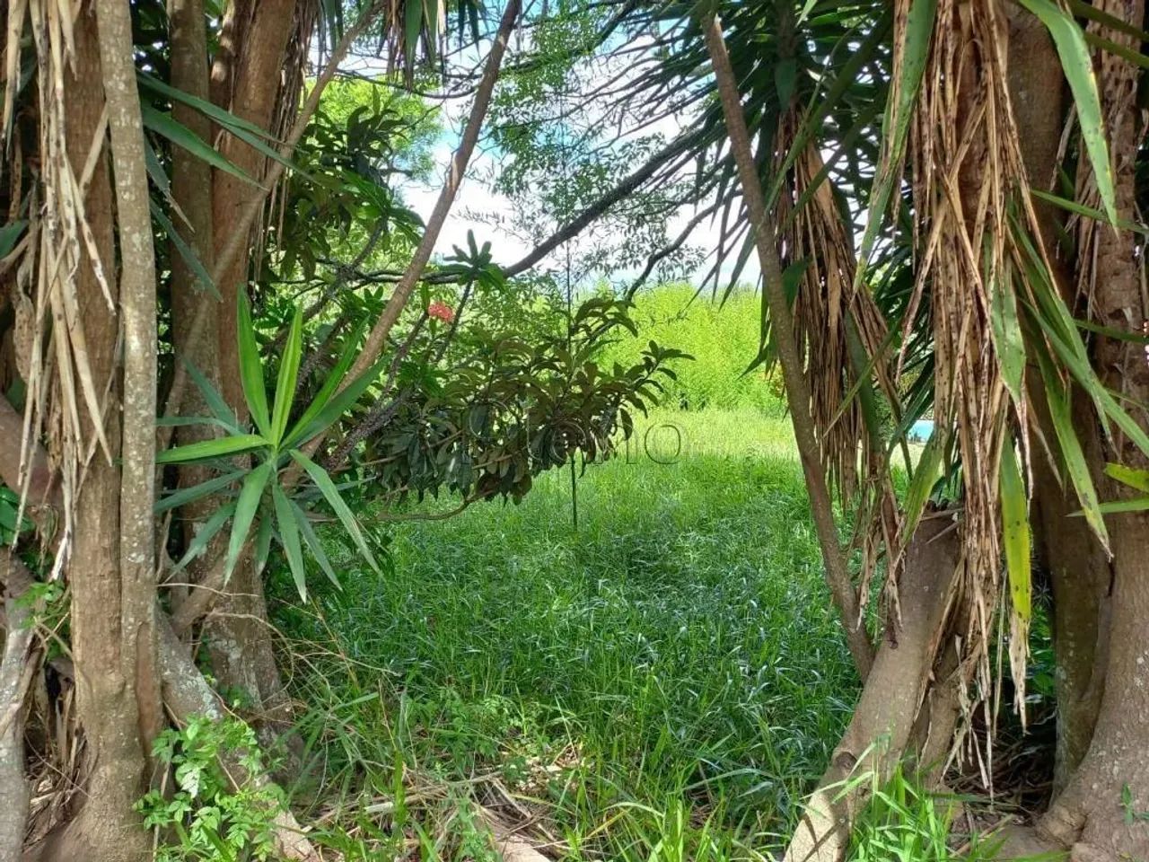 Terreno à venda com 1.119 m² no Jardim São Bento do Recreio, Valinhos - Foto 4