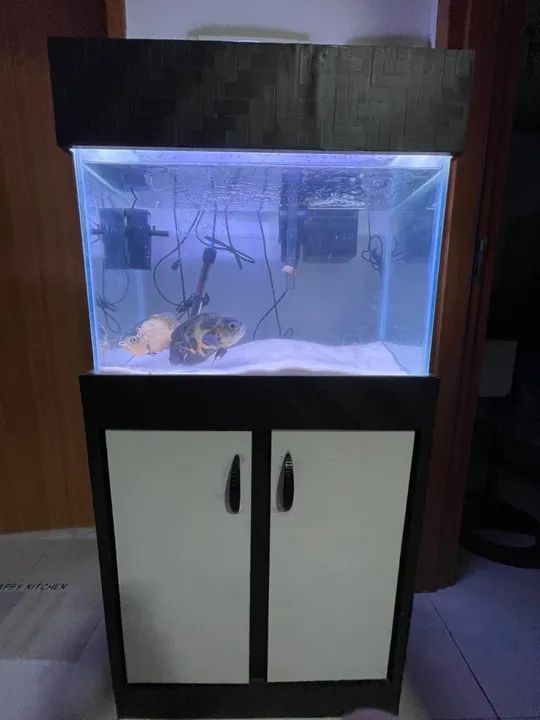 Aquário completo 80L - Foto 4