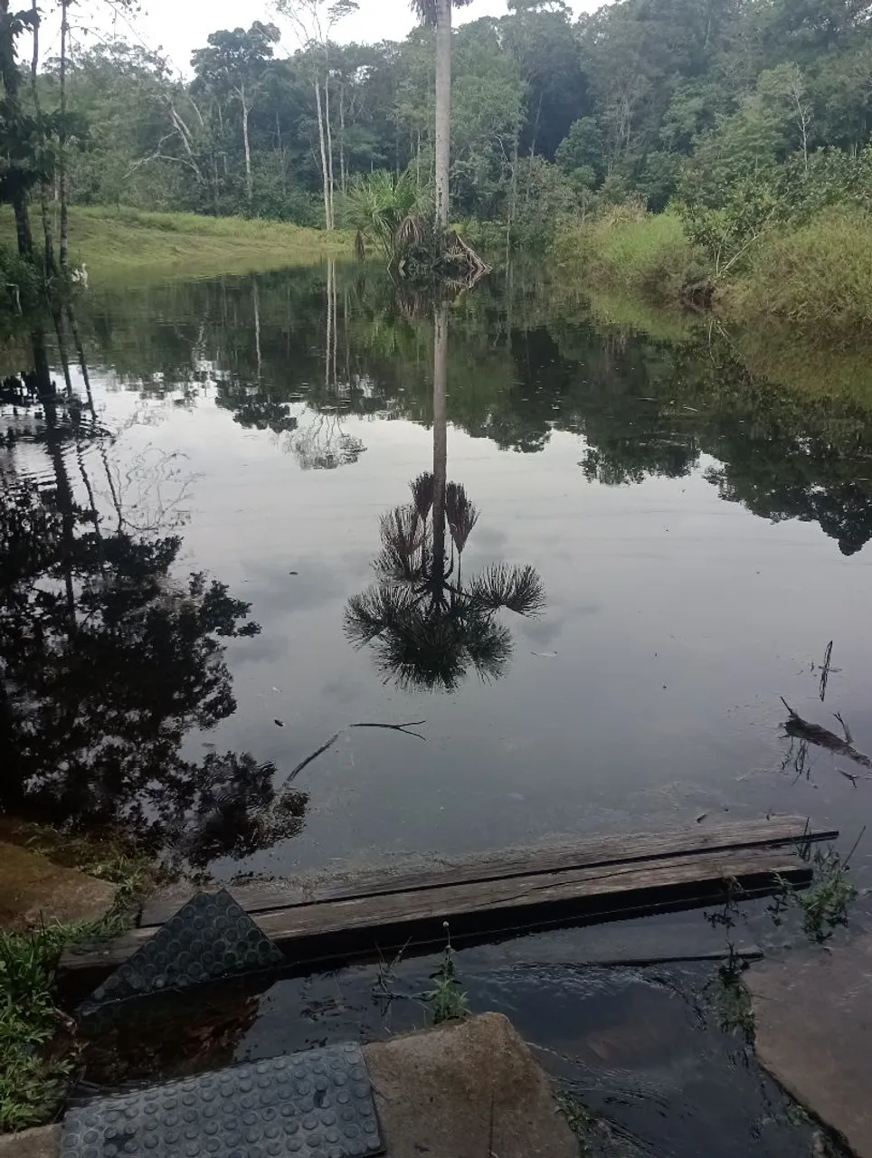 Lindo terreno com sítio