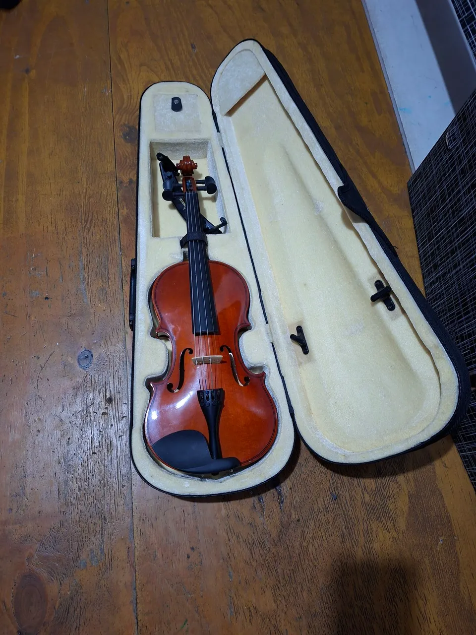 Violino com Case