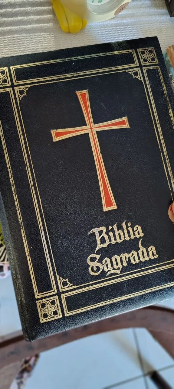 Bíblia Sagrada Ilustrada 