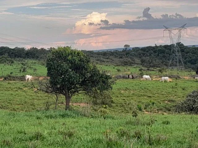 Fazenda de 50ha em Dores do Indaiá - Foto 4