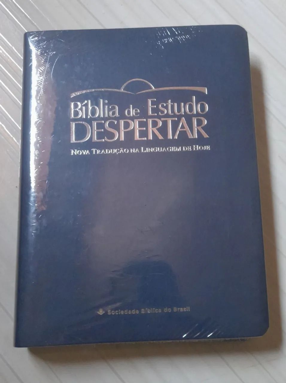 Bíblia de estudo despertar (grande) 