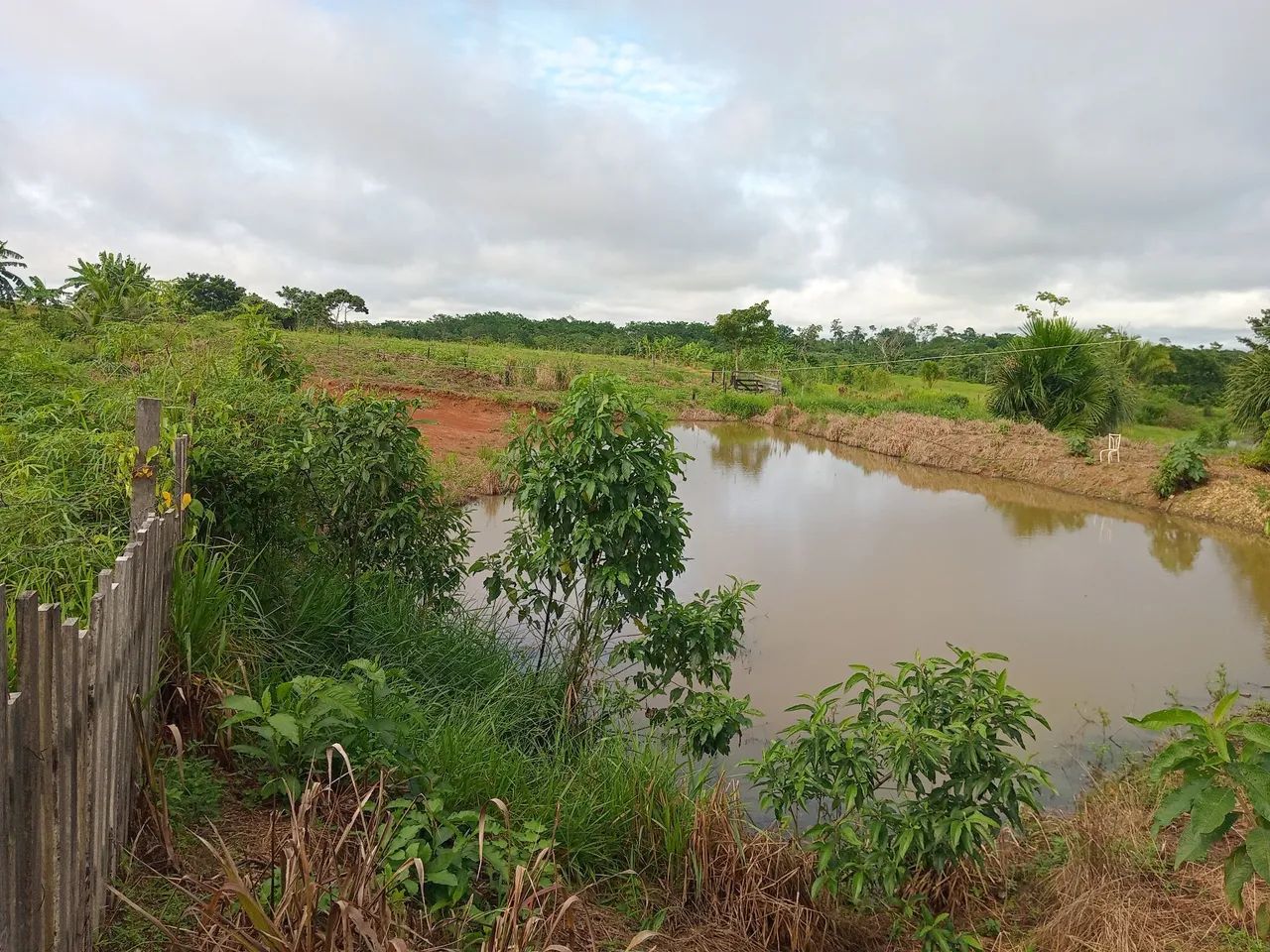 Vende se uma chácara 5 hectares  - Foto 4
